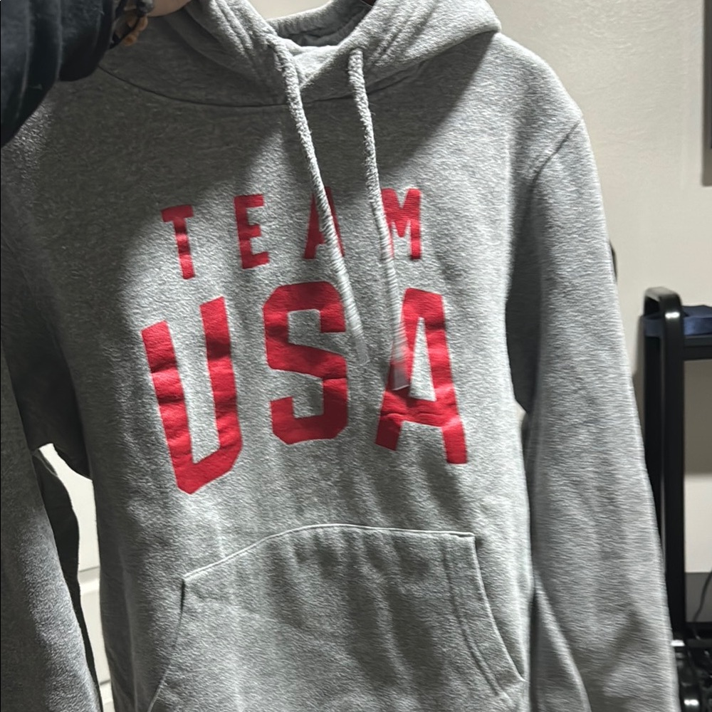 Gray Team USA Hoodie
